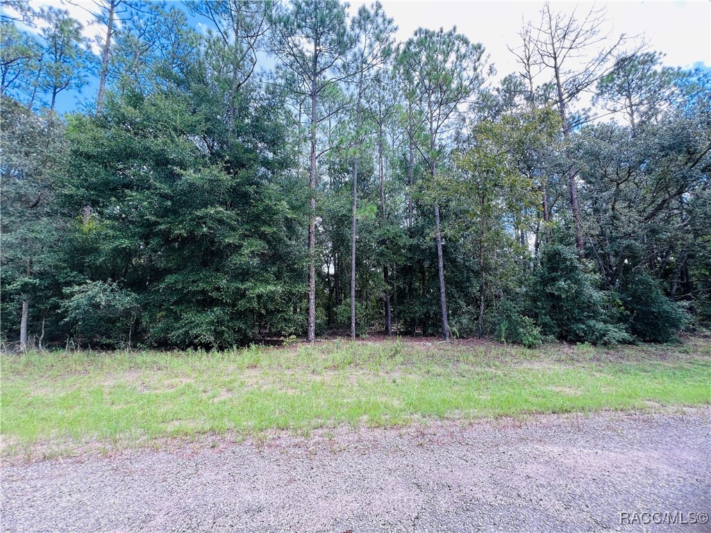 Property Photo:  8681 N Wallingford Avenue  FL 34434 