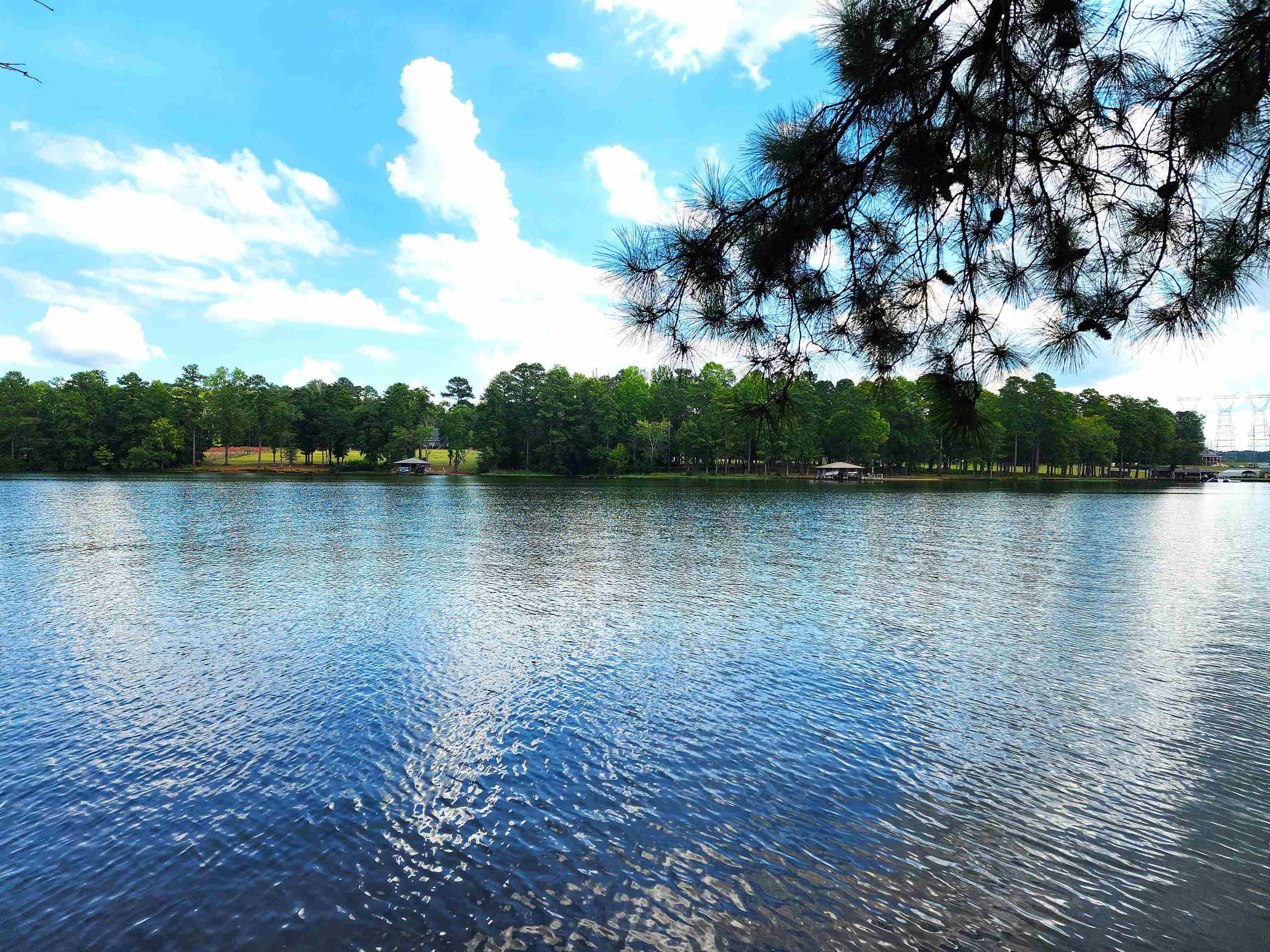 Property Photo:  Lot #9 Serenity Point  GA 31061 