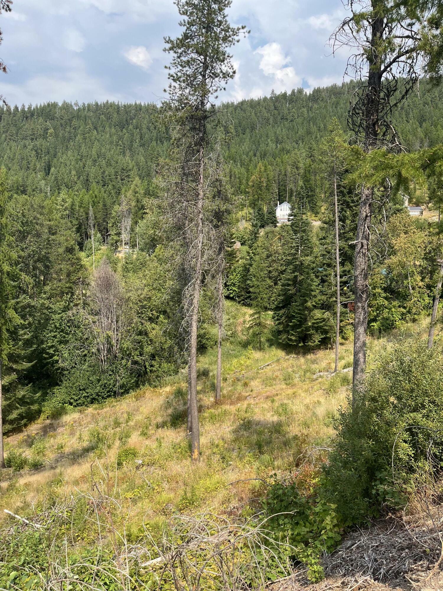 Property Photo:  Lot 16 Kaniksu Rd  WA 99109 