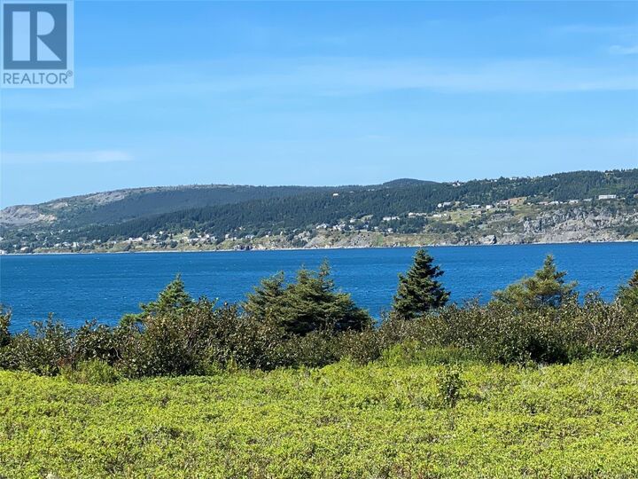 Property Photo:  365 Central Street  NL A0A 1G0 