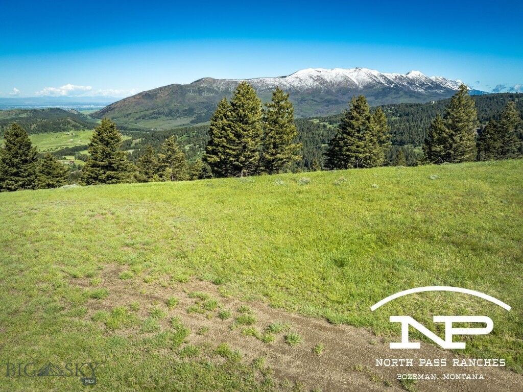 Property Photo:  Ranch 6 North Pass Ranches  MT 59718 