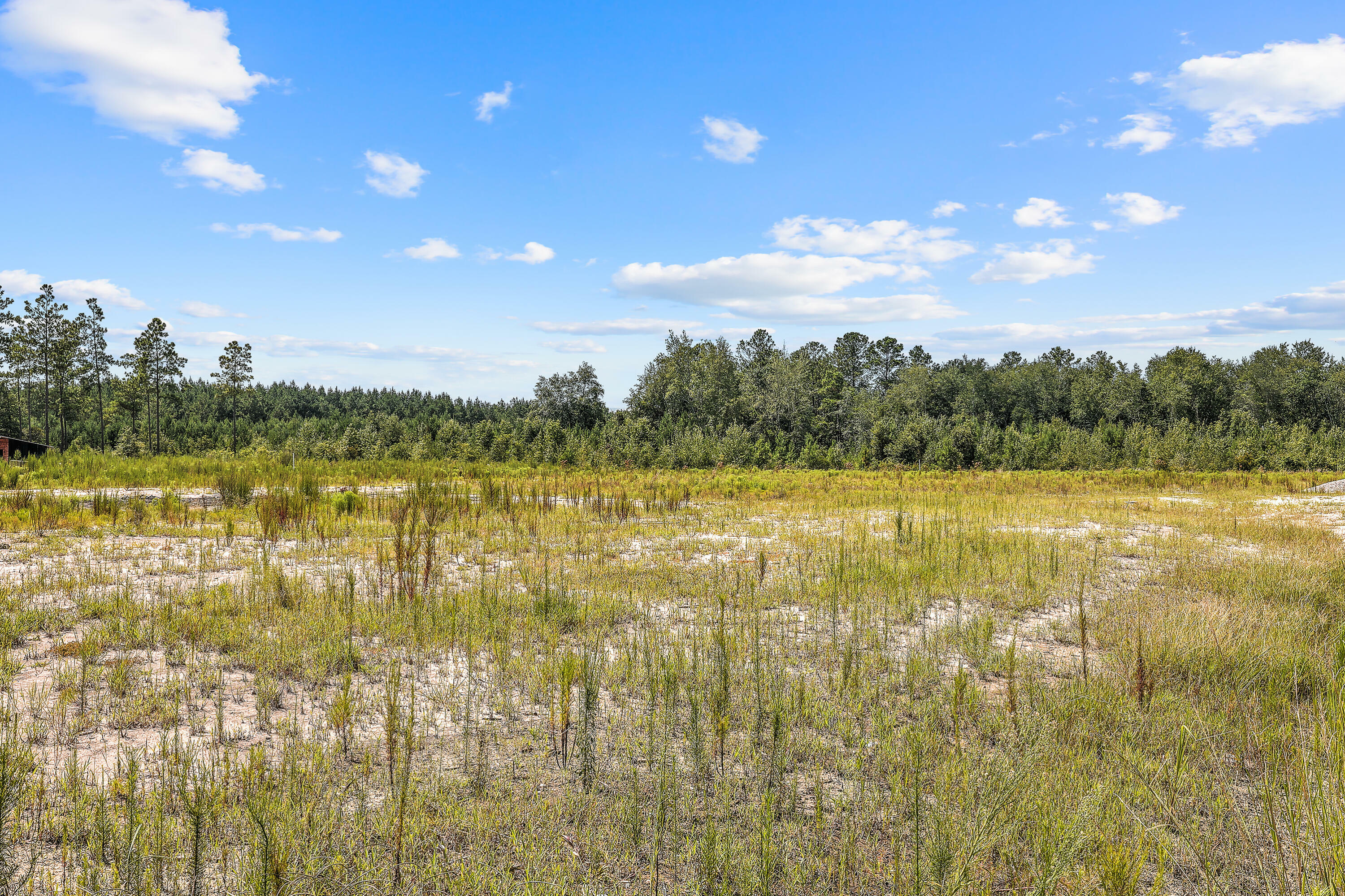 Property Photo:  0 Mudville Road  SC 29436 