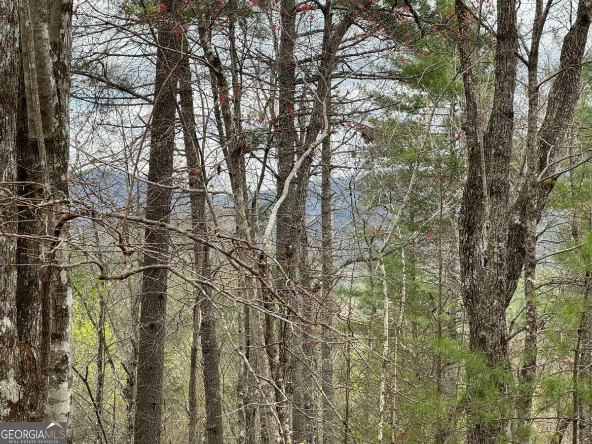 Property Photo:  Tract A Harpers Creek Road  GA 30540 