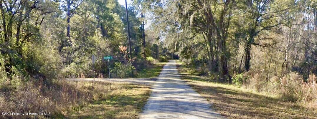 Property Photo:  0 Lot 6 Decker Street  FL 33597 