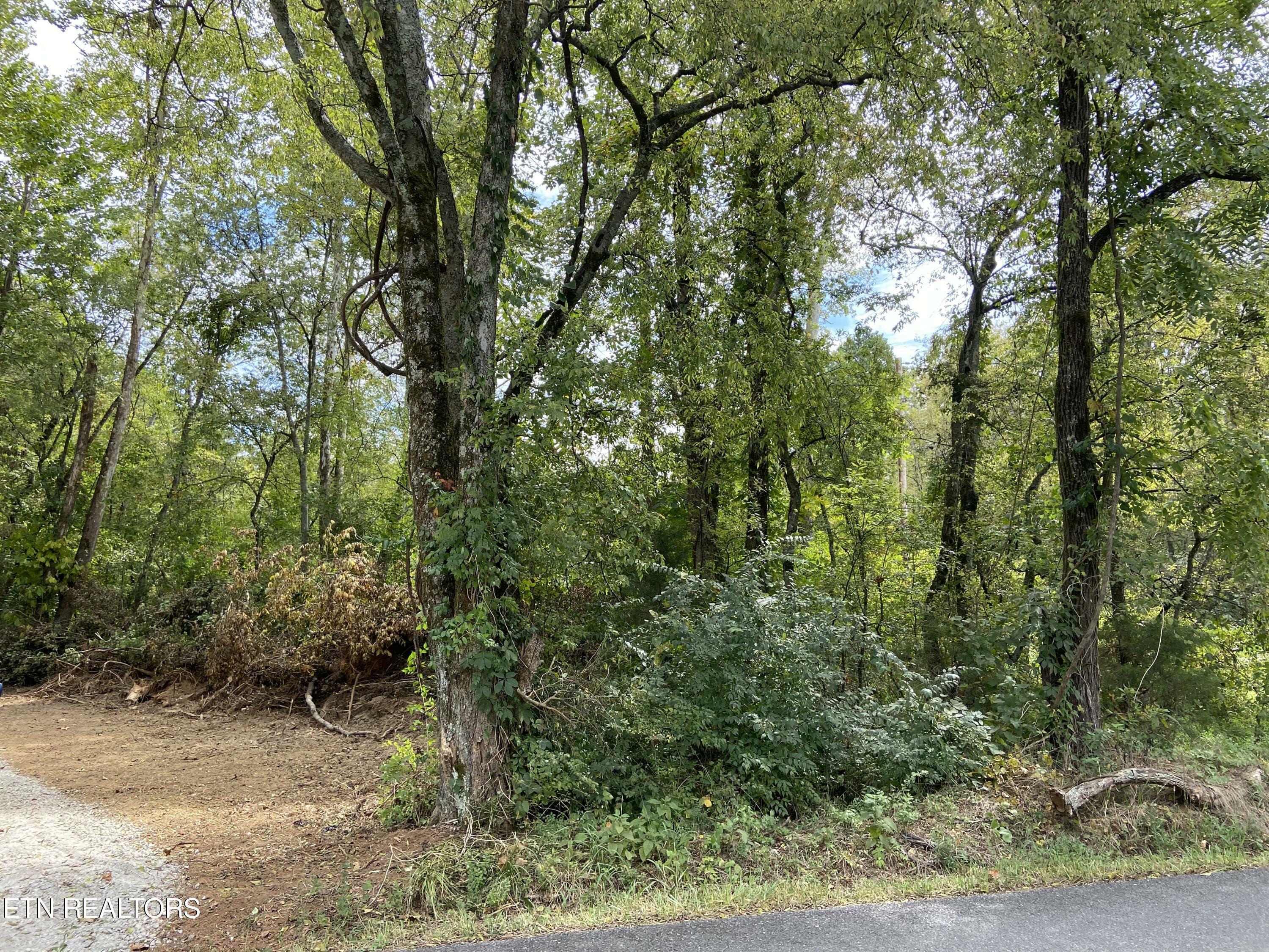 Property Photo:  412 Alfred McCammon Rd  TN 37804 