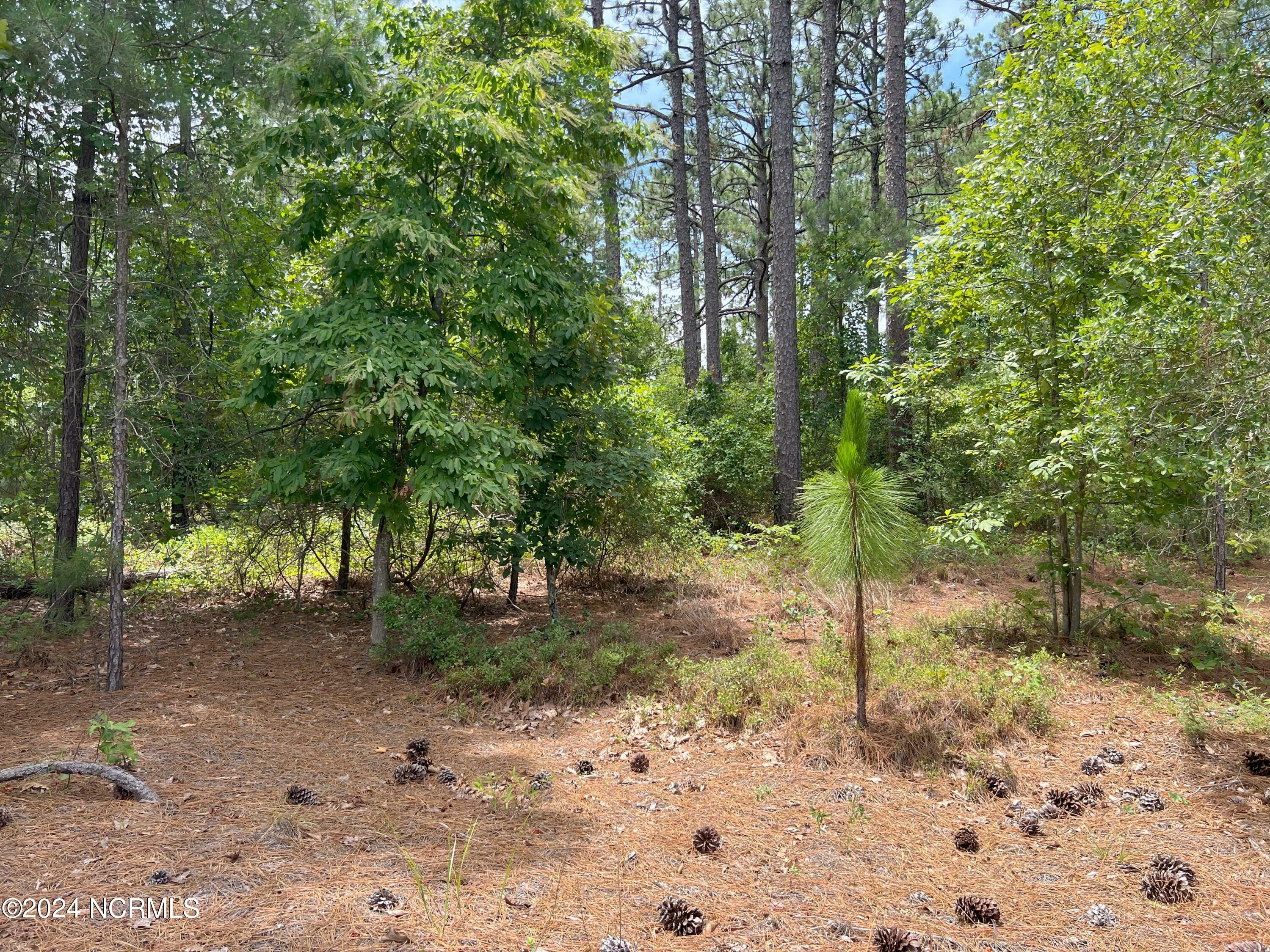 Property Photo:  1B Sandy Branch Lane  NC 28315 