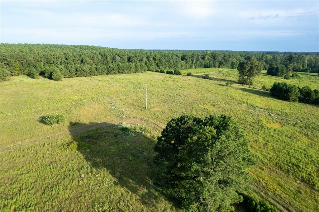 Property Photo:  Lake Country (Lot 15) Tx-77  TX 75551 