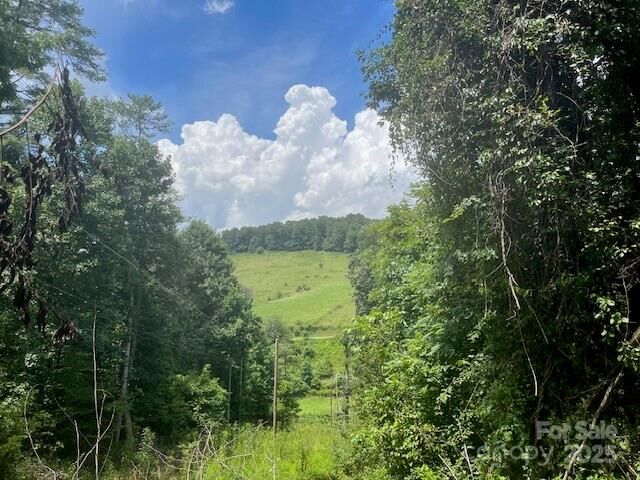 Property Photo:  22 Fern Gully None  NC 28753 