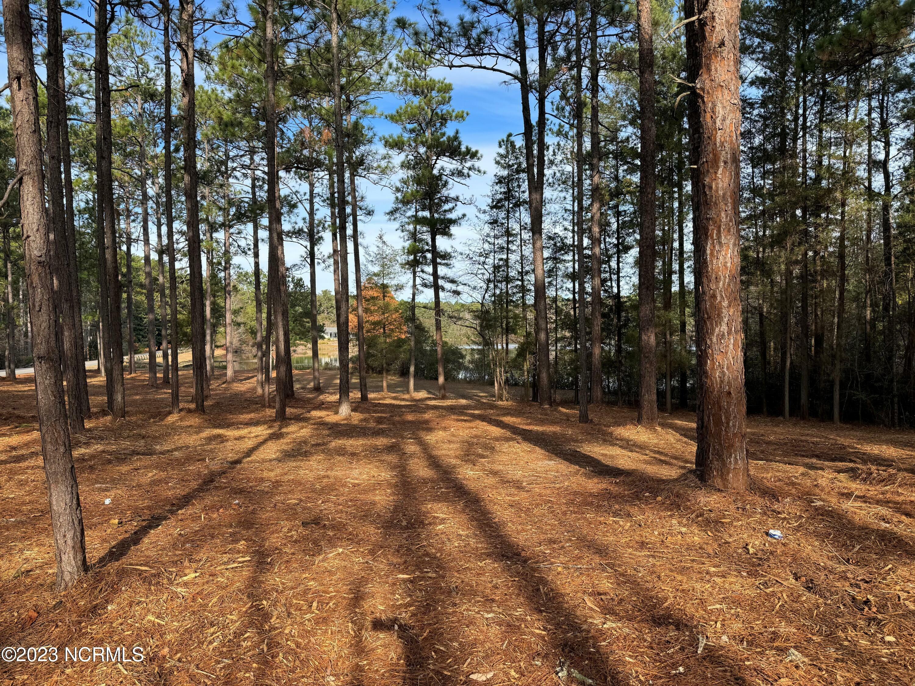 Property Photo:  275 Lake Dornoch Drive  NC 28374 