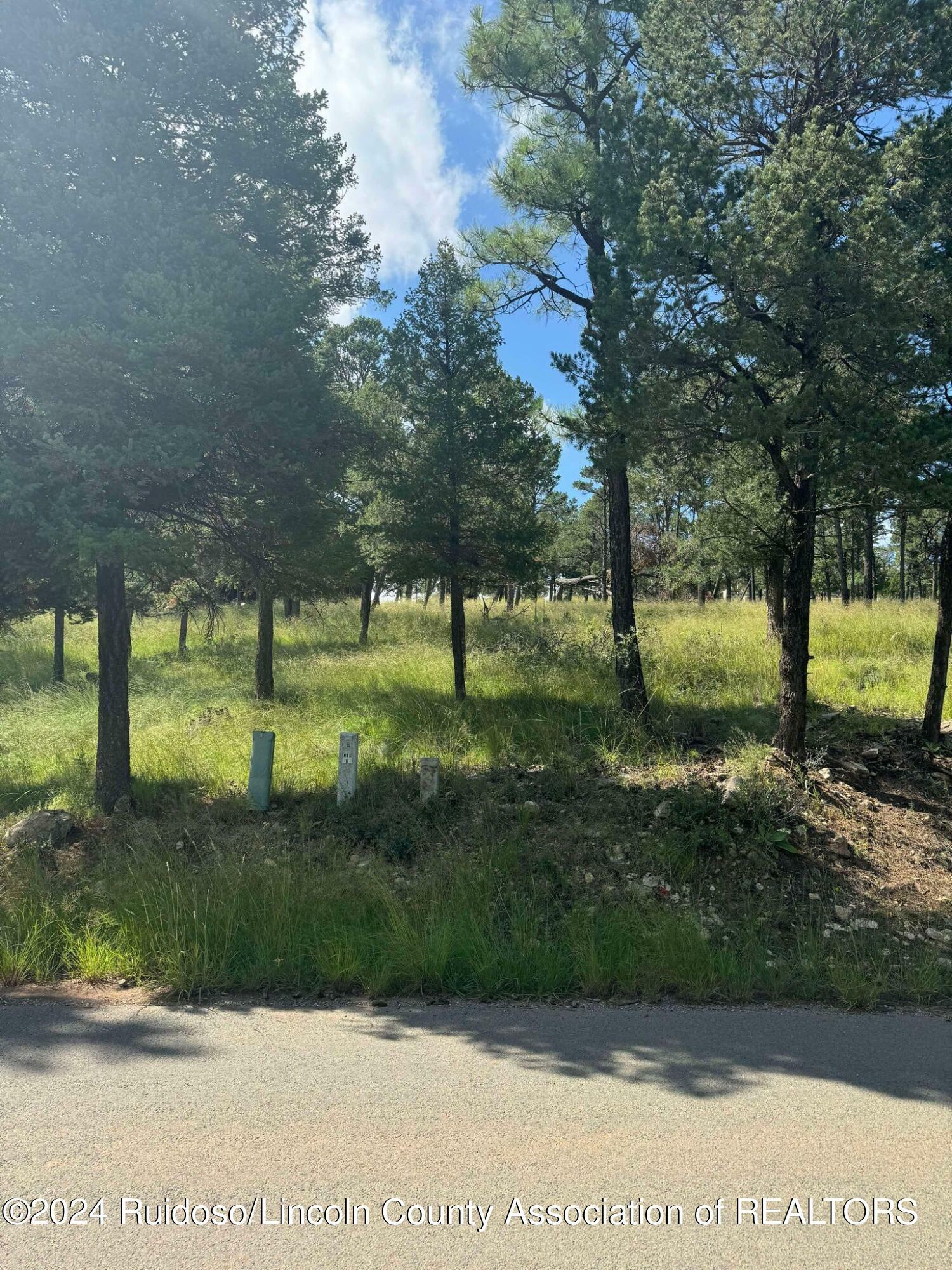 Property Photo:  301 Crown Drive  NM 88345 