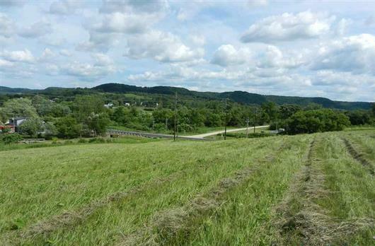 Property Photo:  2.089 Ac Cushman Road  WI 54664 