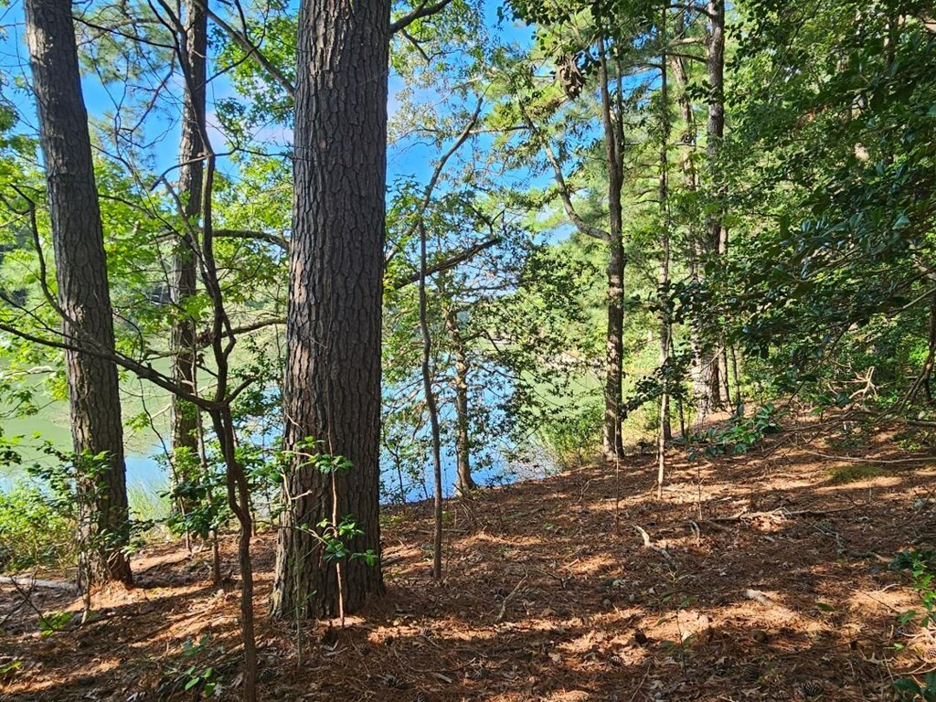 Property Photo:  Lot 3 Virginia Lane  VA 23350 