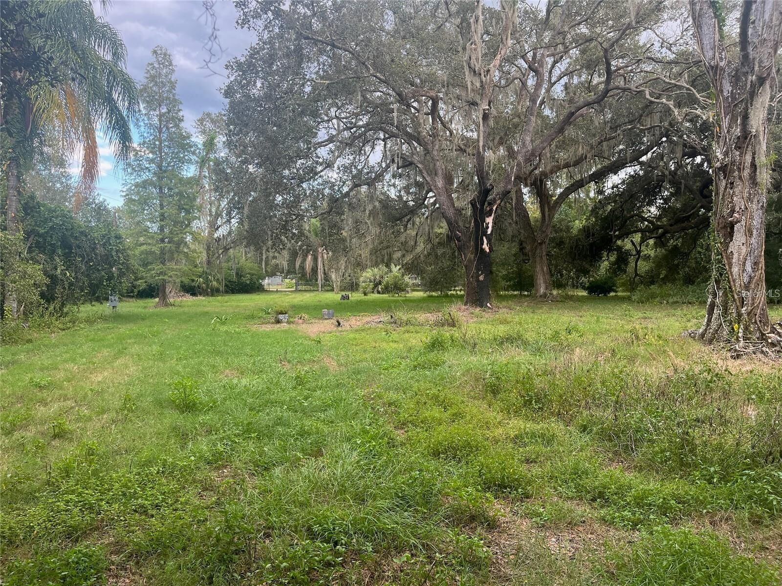 Property Photo:  4023 Lado Drive  FL 33543 