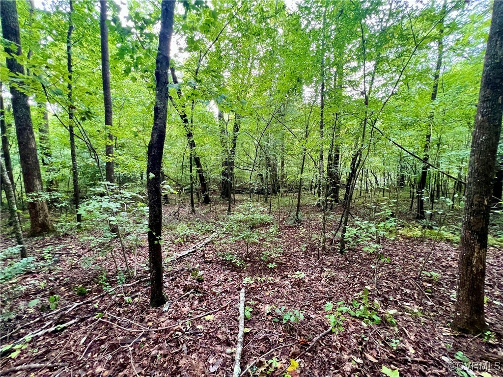 Property Photo:  Lot 18 Owl Rd  VA 23947 