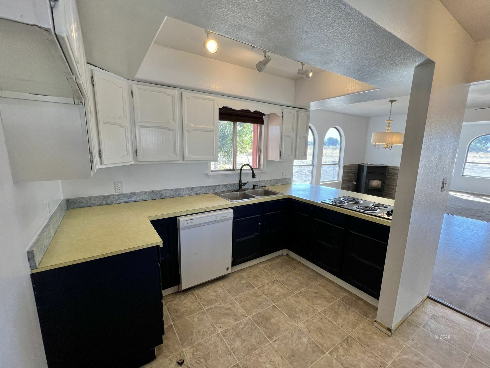 Property Photo:  169 Flowing Wells Drive  NV 89815 