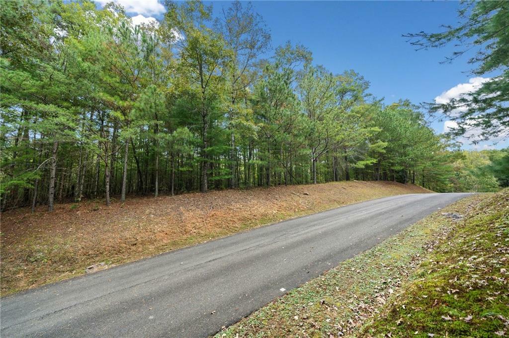 Property Photo:  L122 Trout Line Court  GA 30175 