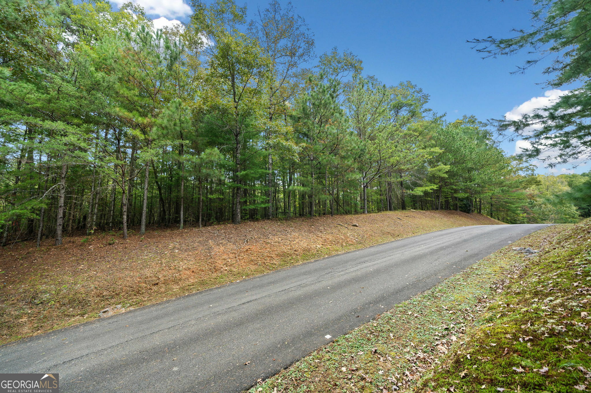 Property Photo:  L122 Trout Line Court  GA 30175 