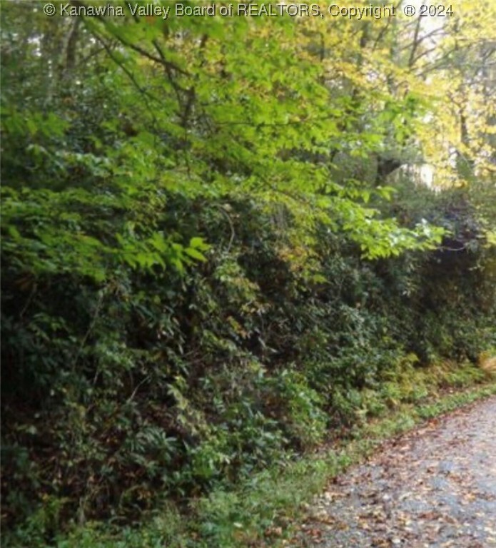 Property Photo:  3 Flat Creek Road  WV 25501 