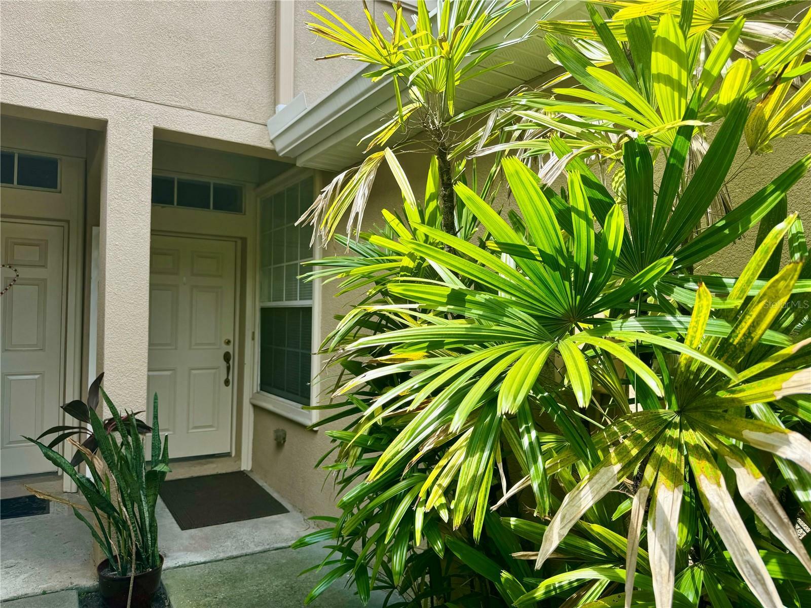 Property Photo:  9817 Blue Palm Way  FL 33610 