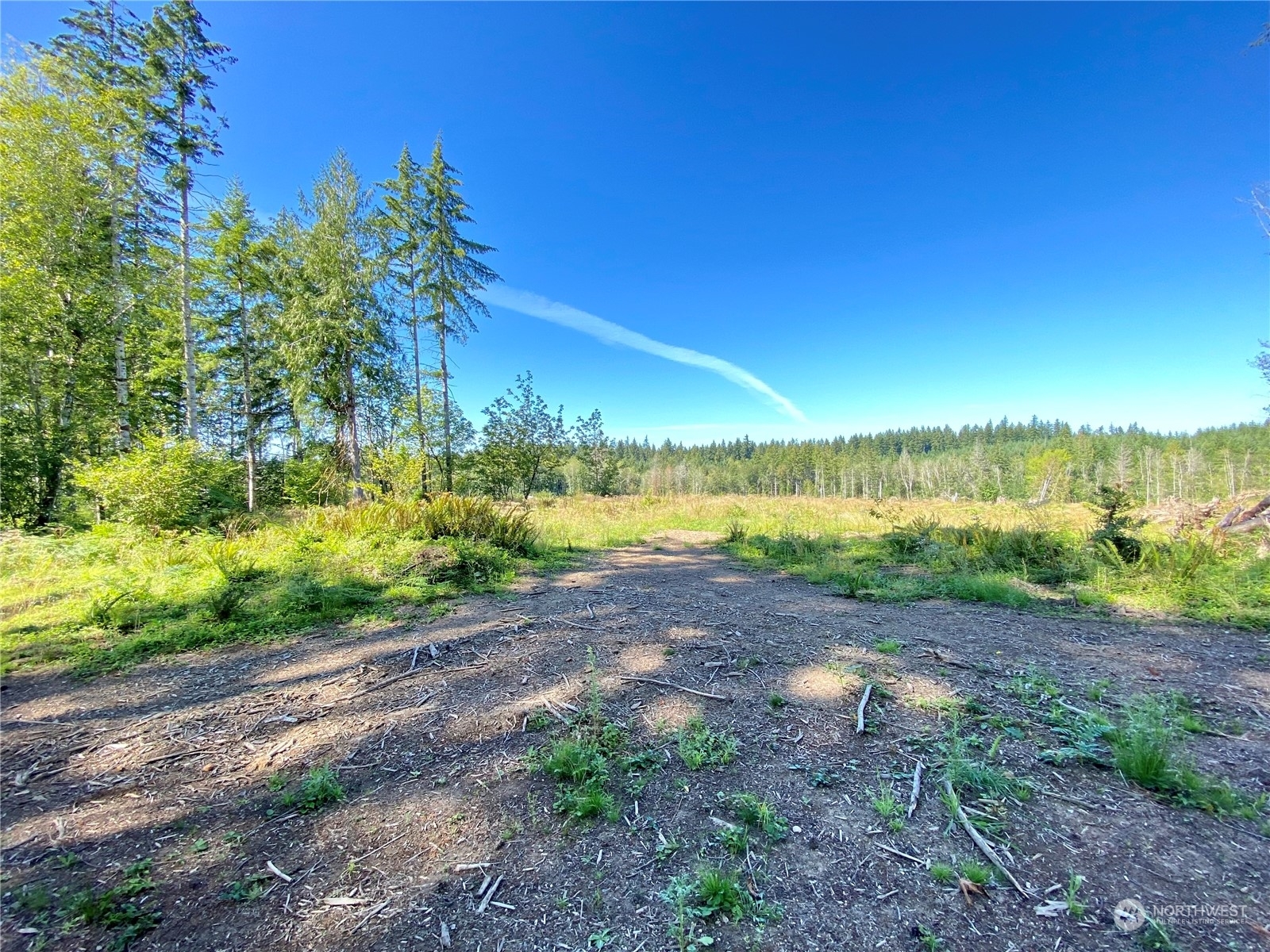 Property Photo:  4273 Lot C SE Lynch Road  WA 98584 