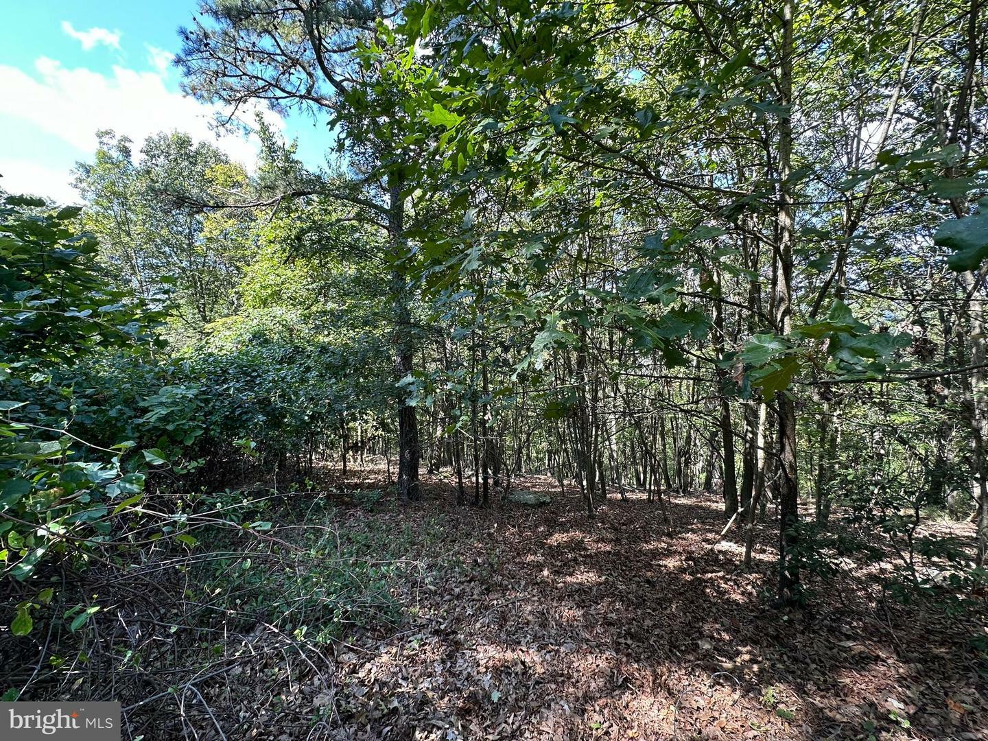 Property Photo:  Lots 310 &Amp 312 Skyview Drive  MD 21502 