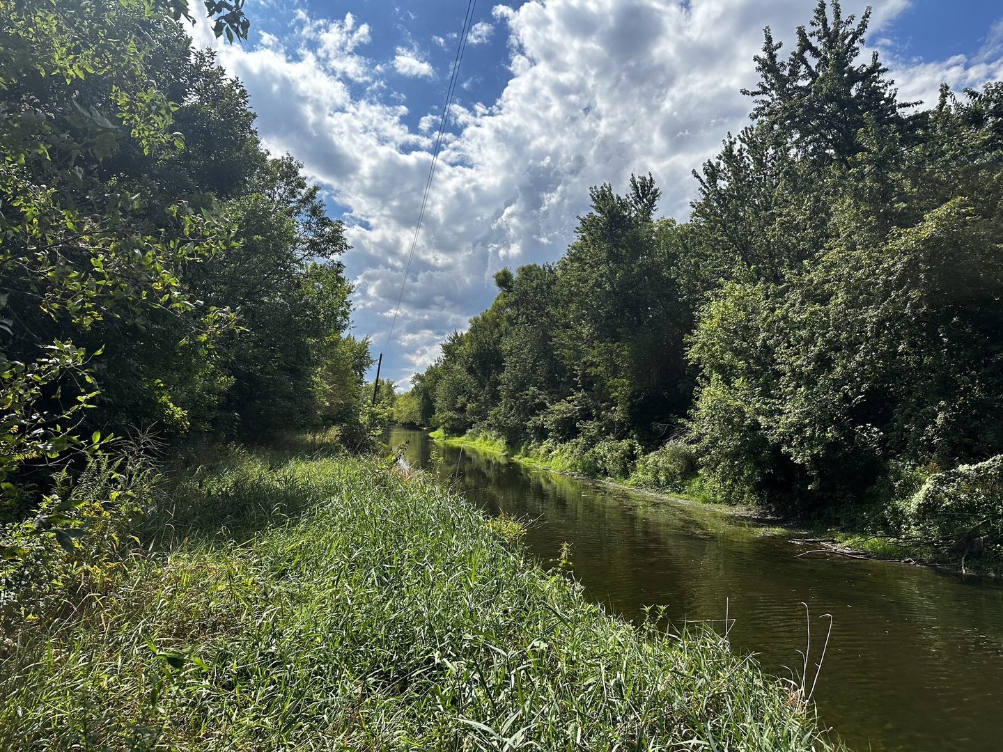 Property Photo:  3181 N 2400 East Road  IL 60964 