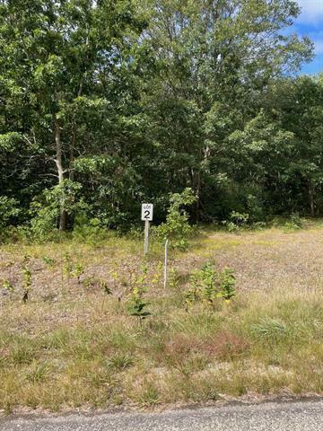 Property Photo:  Lot 2 Renaissance Drive  MI 49660 