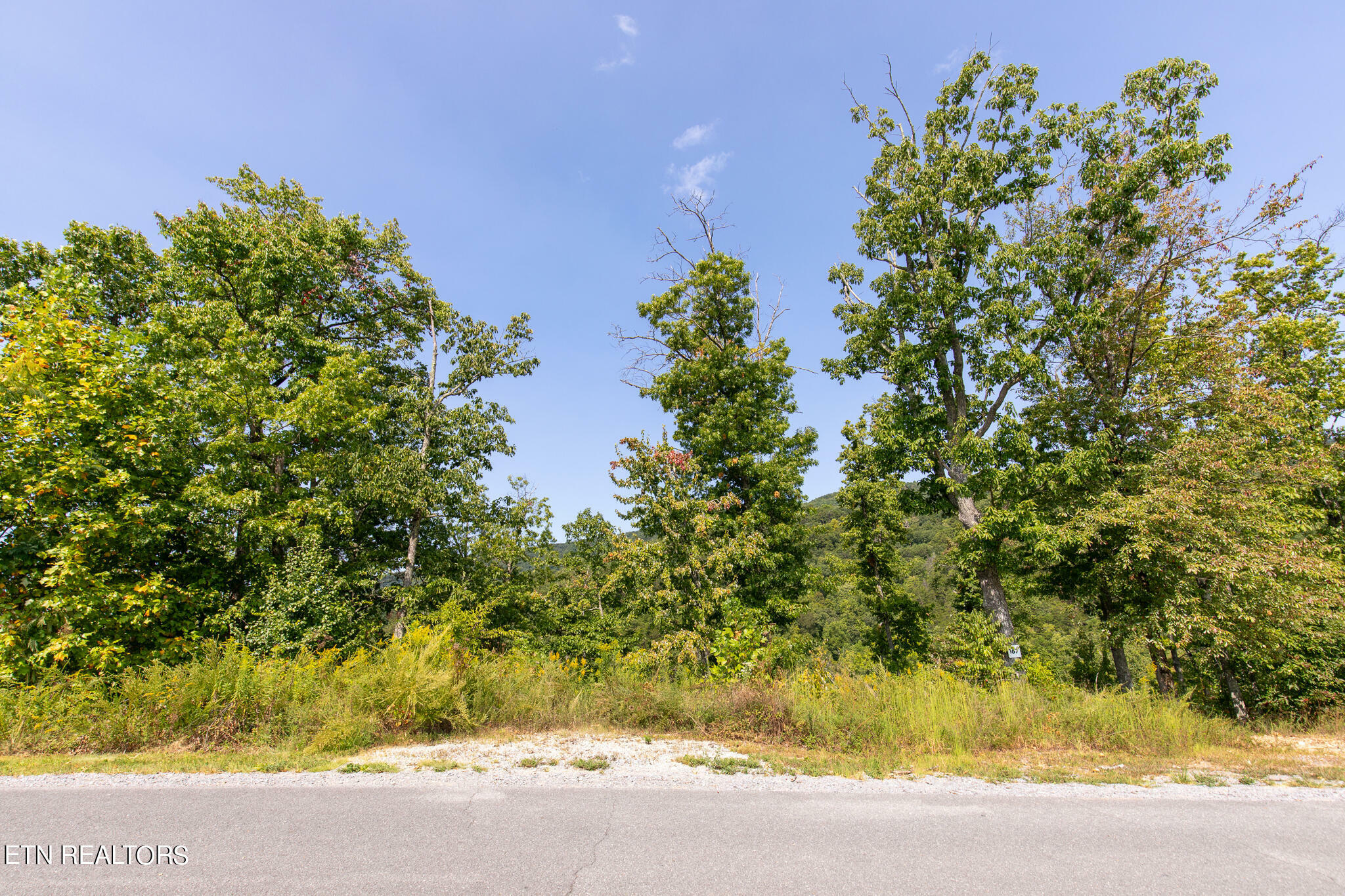 Property Photo:  Lot 167 Smoky Bluff Tr  TN 37862 