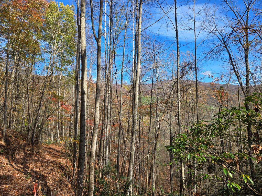 Property Photo: 5.8 Copper Creek Rd NC 28906