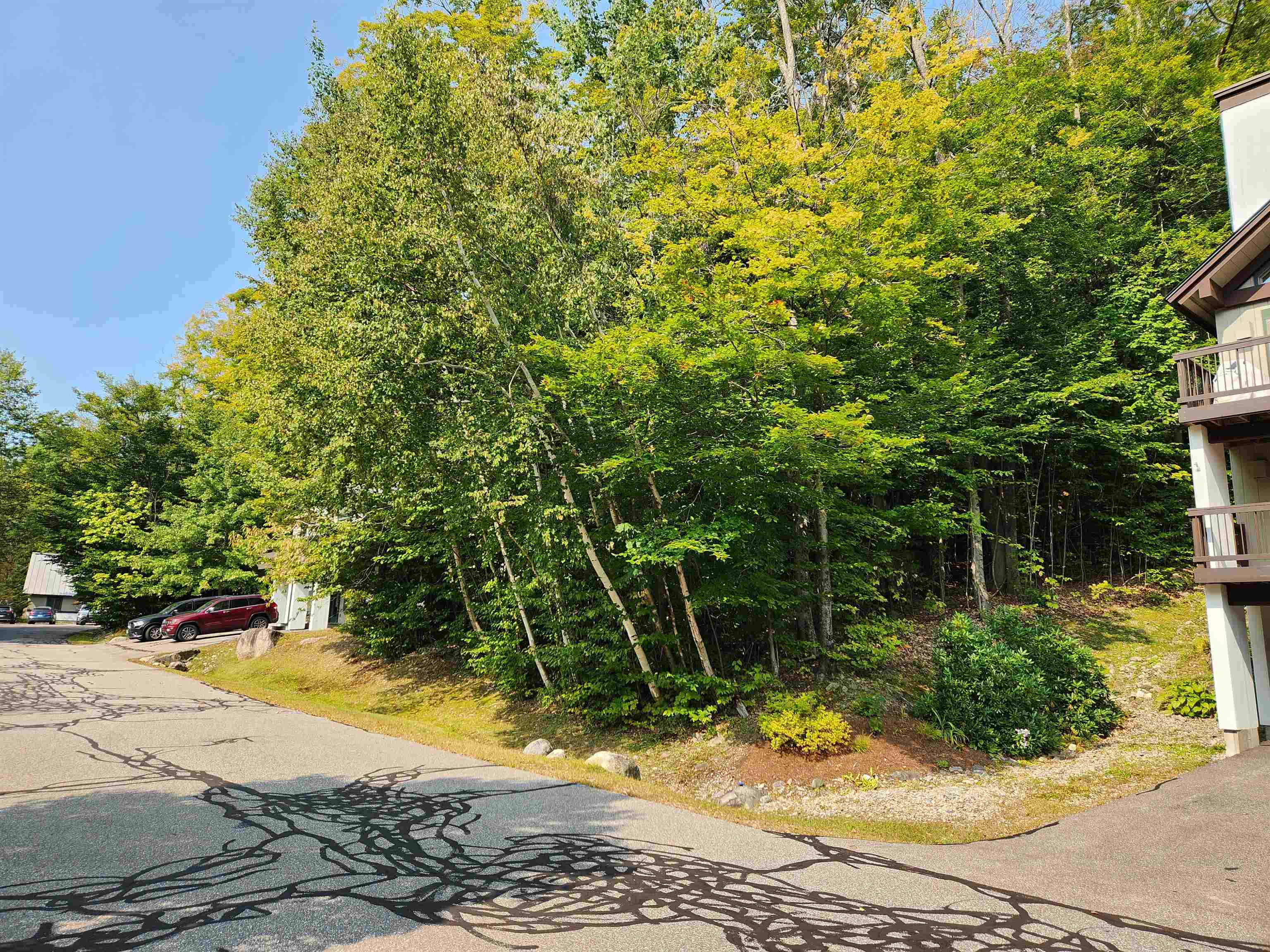 Property Photo:  68 Westview Road  NH 03251 