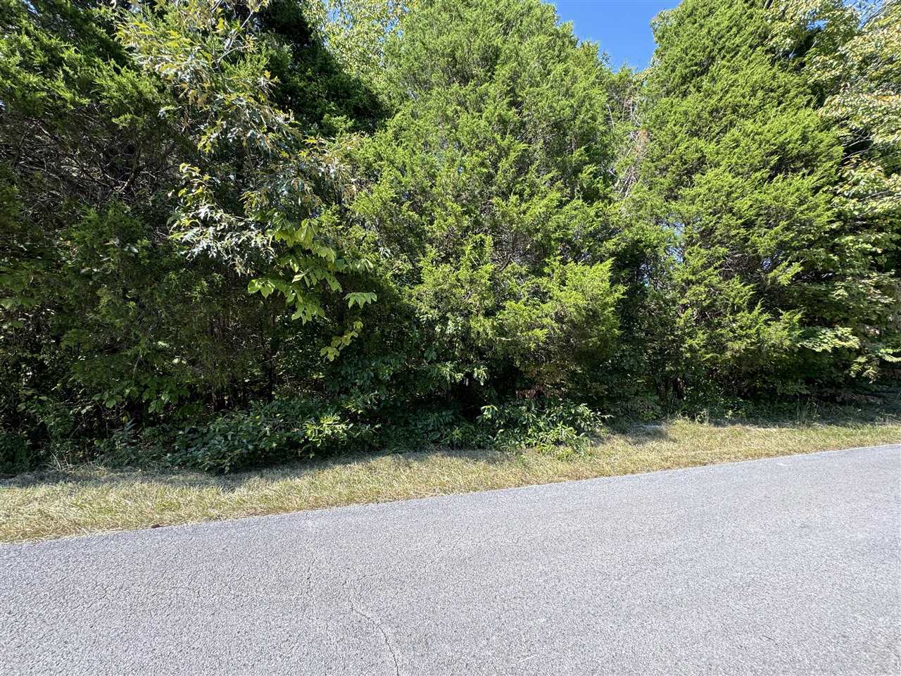 Property Photo:  Tract 1 William Simmons Road  KY 42101 