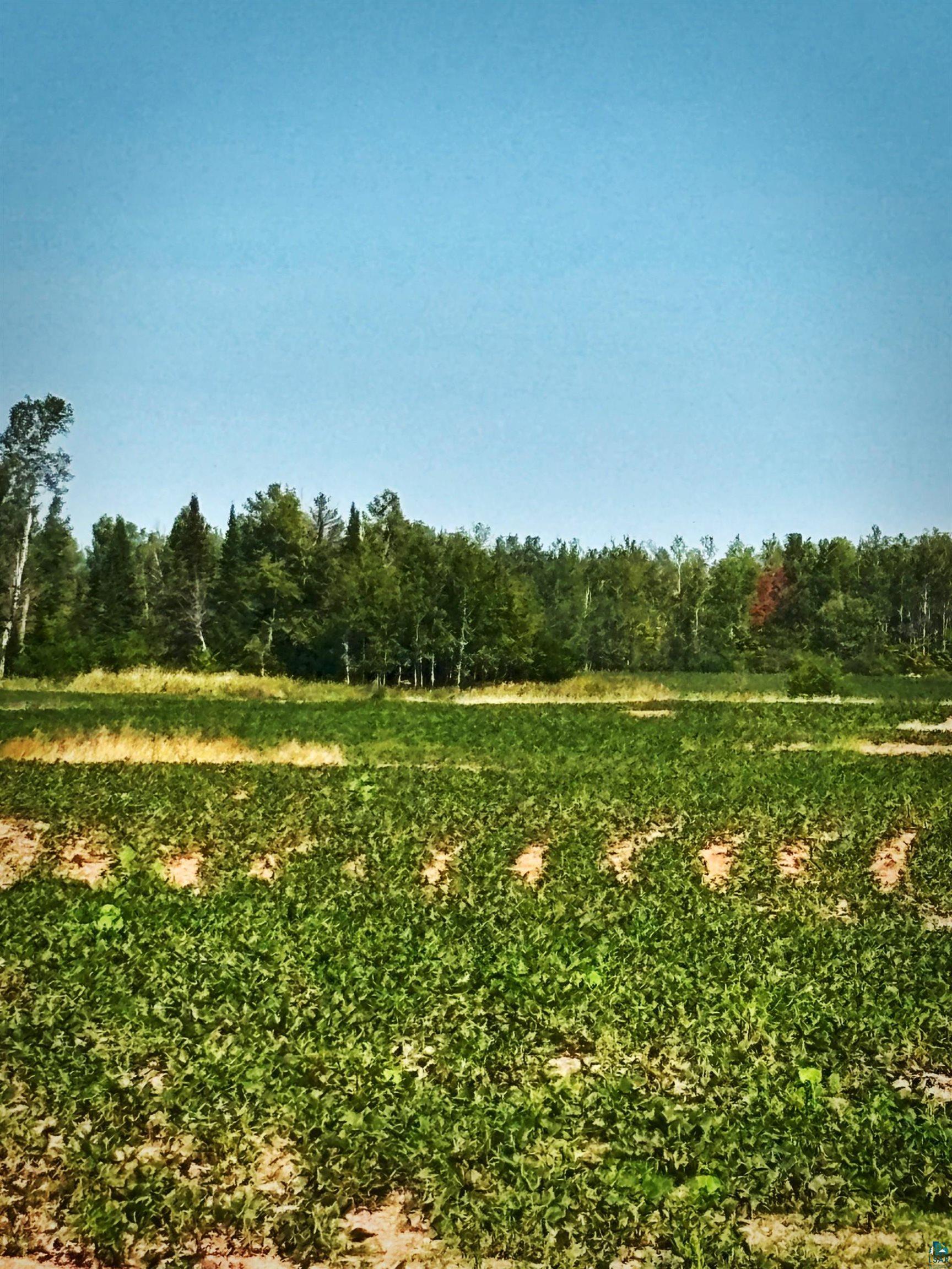 Property Photo: 000 Woodland Rd WI 54806-0000