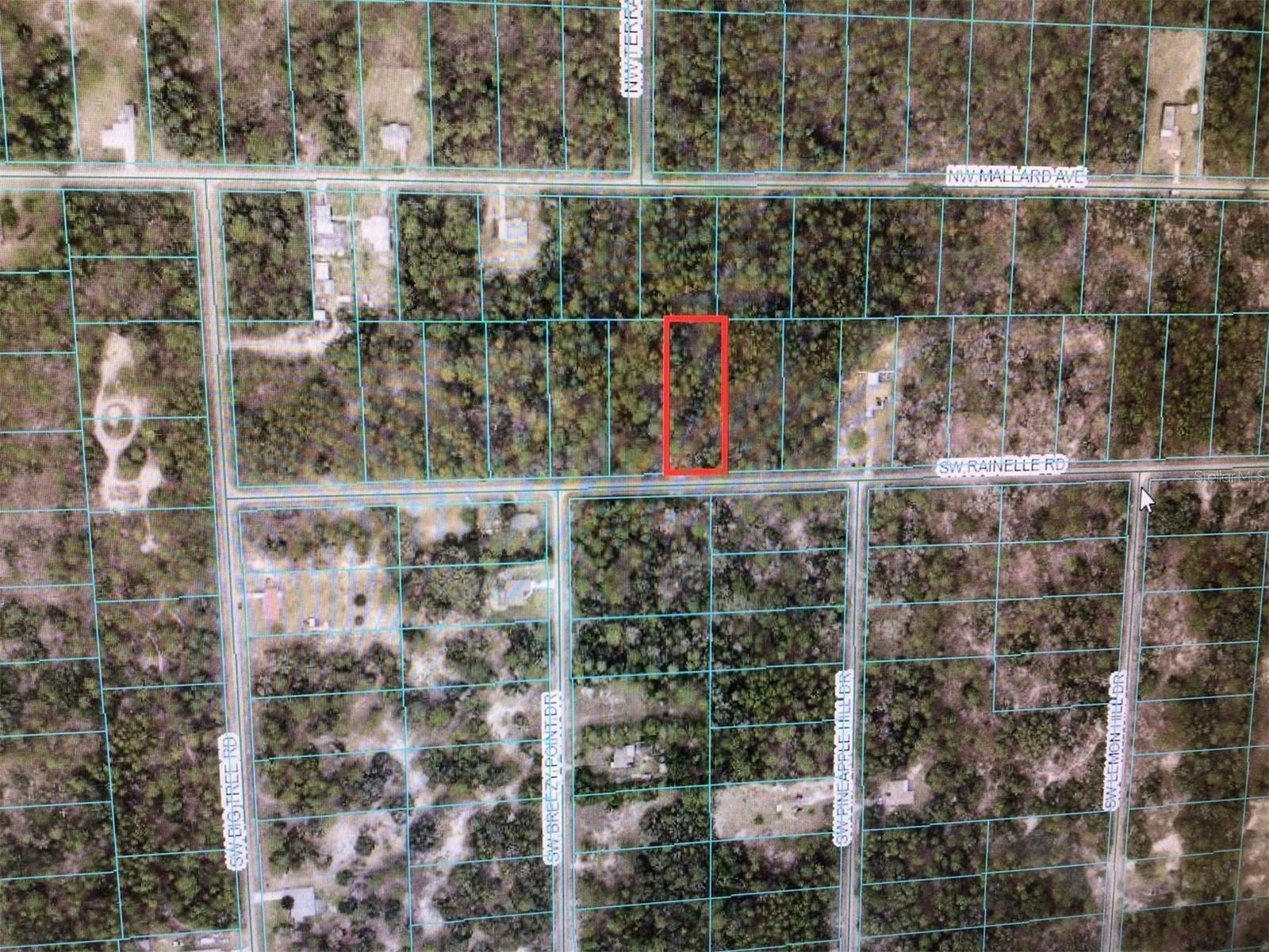 Property Photo:  0 SW Rainelle Road  FL 34431 