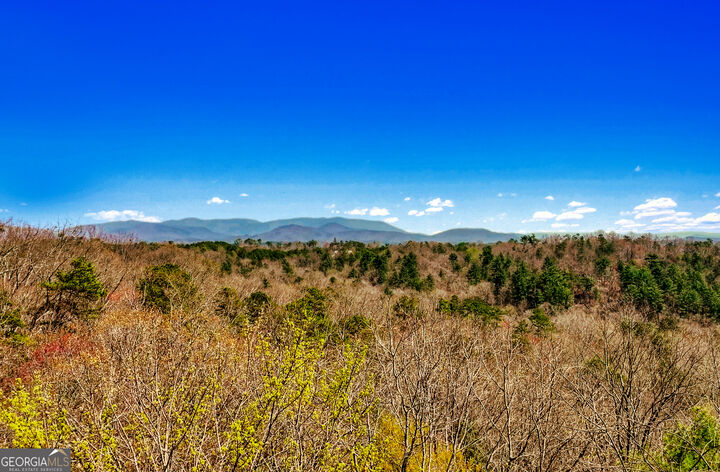 Property Photo:  0 Legion Road 241 Acres  GA 30540 