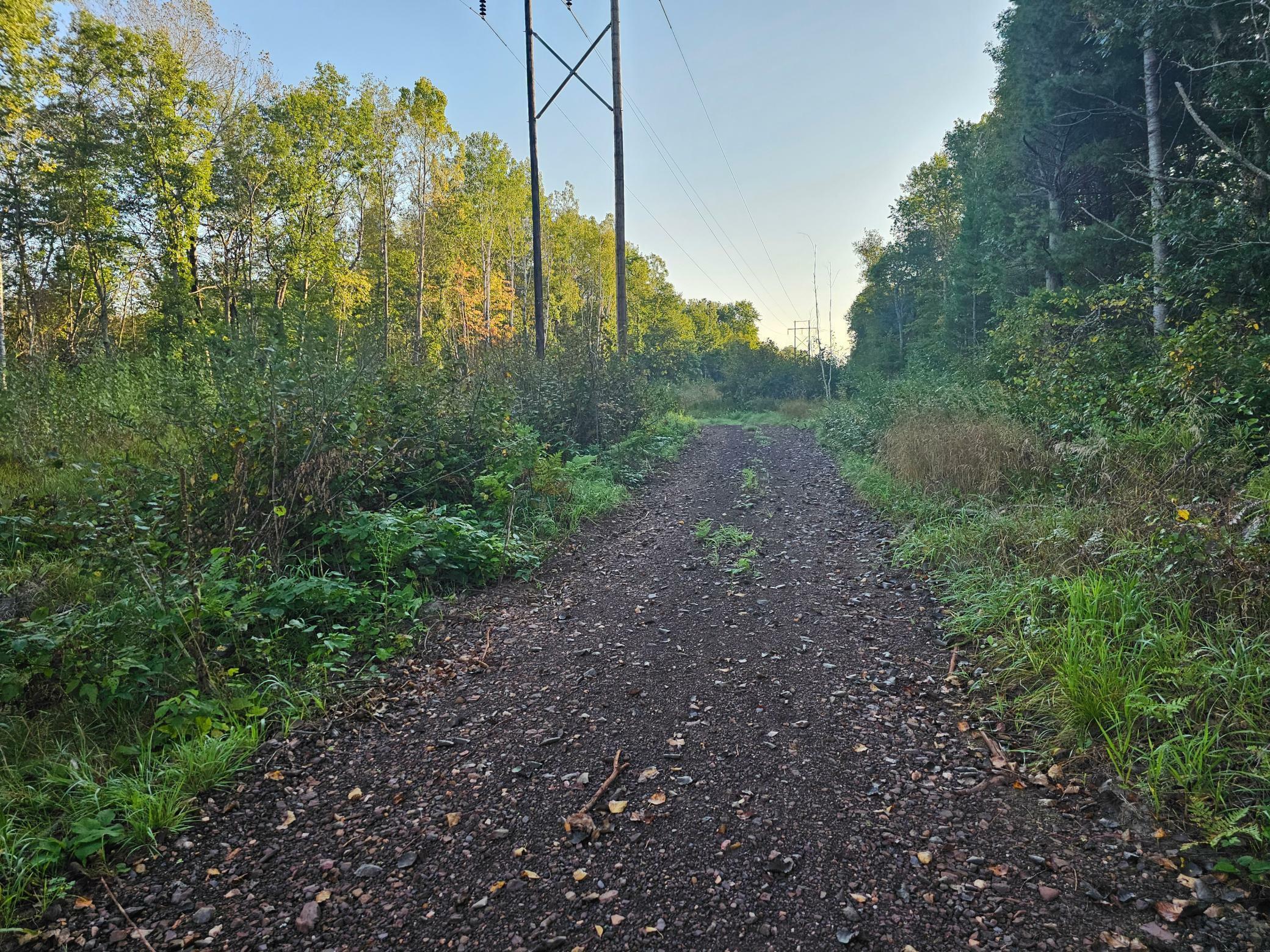 Property Photo: Lot 5 Blk 1, 5.4 Acres County Road 30 MN 56441