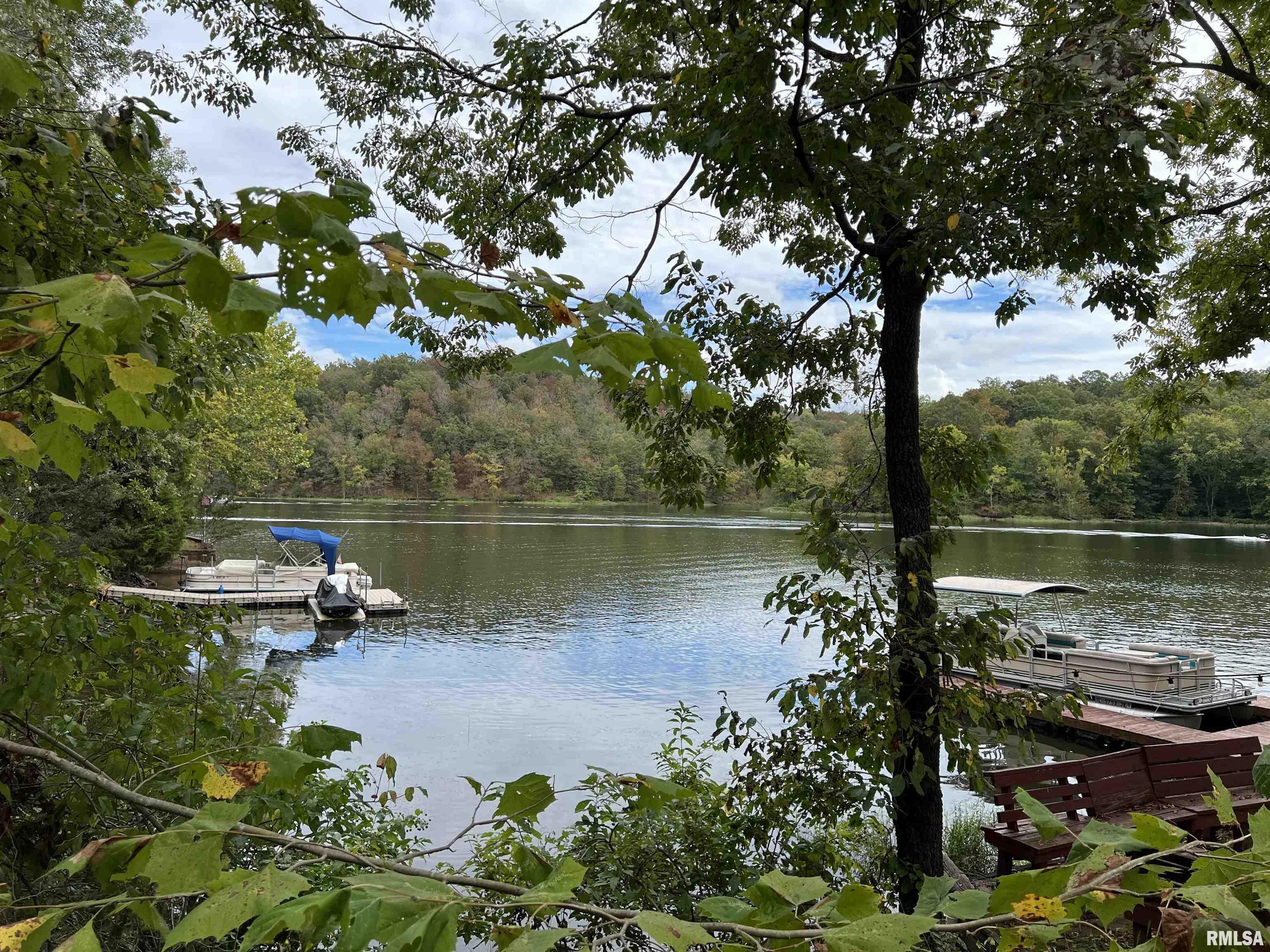 Property Photo: Lot 1355 Eagle Claw Point IL 62939