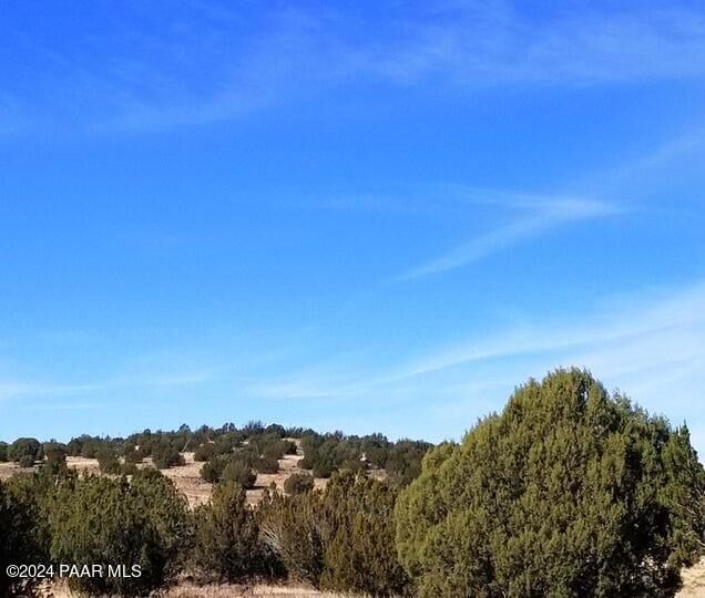 37621 Greenhorn  Seligman AZ 86337 photo