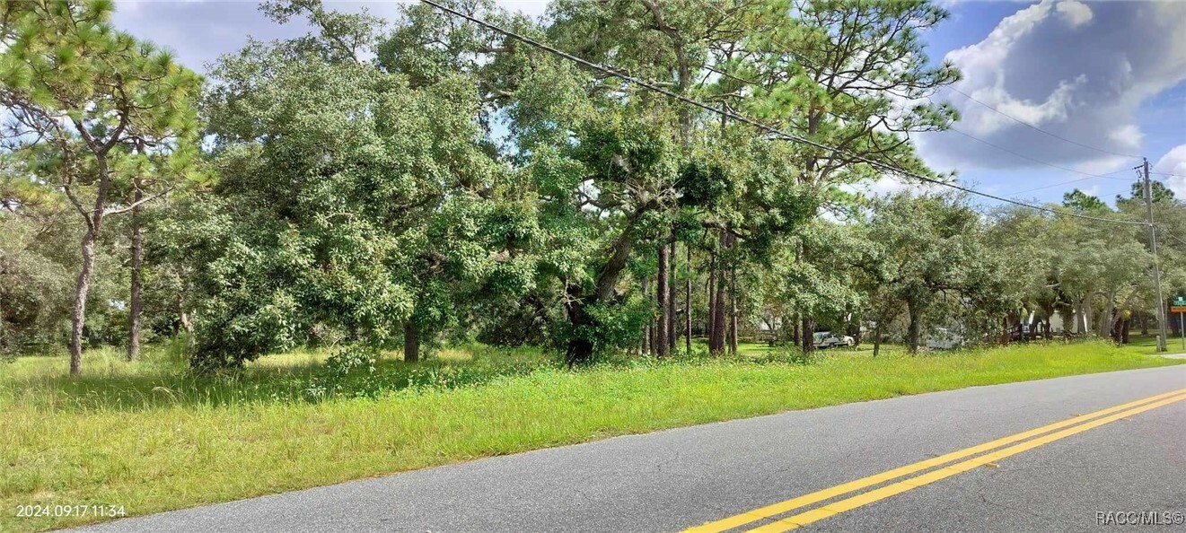 Property Photo:  5086 S Felix Point  FL 34446 