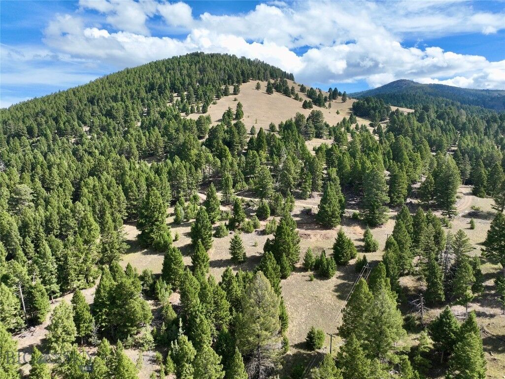 Property Photo: Tbd Scranton Lode Lot 3 Ms 3667 Road MT 59858