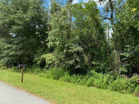 Property Photo:  Lot 20,21,22 SW Peach Blossom Street  FL 34431 