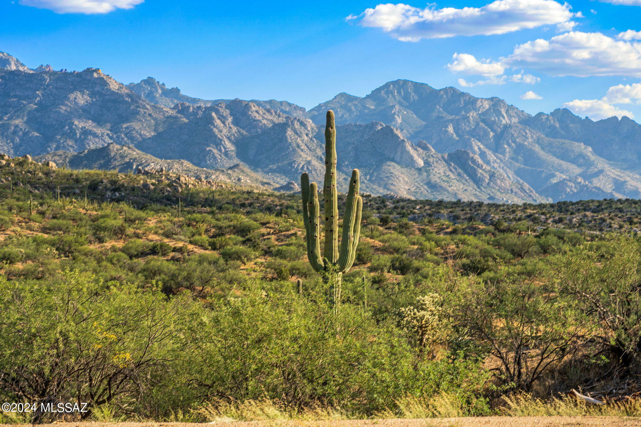 Property Photo:  16500 N Ridge Rock Trail  AZ 85739 