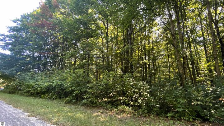 Lot 466 Northwood Drive  Elmira MI 49730 photo