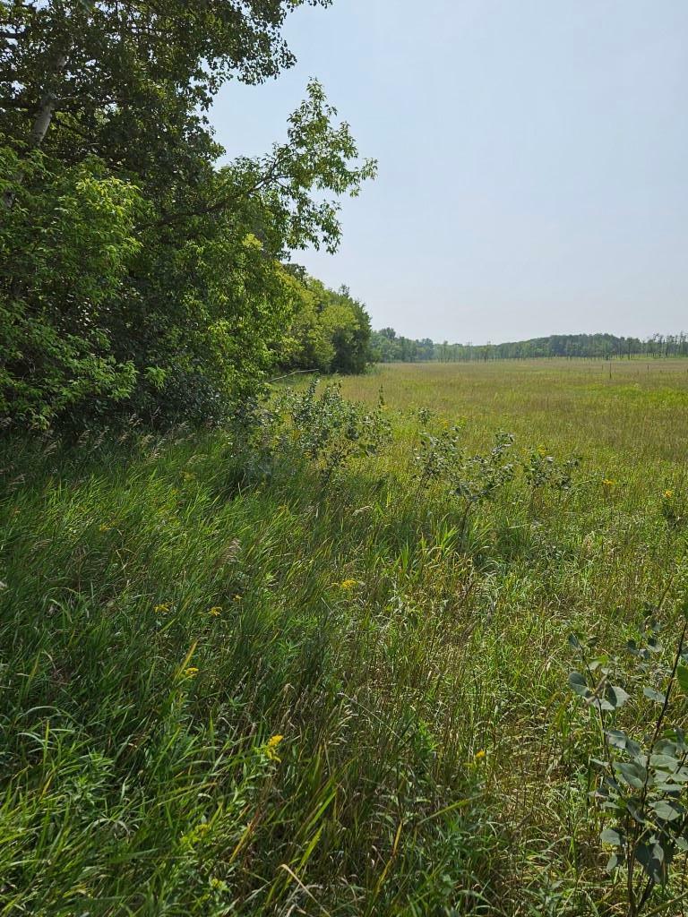 Property Photo:  Xxxx, Lot 1 Co Rd 38 NE  MN 56319 