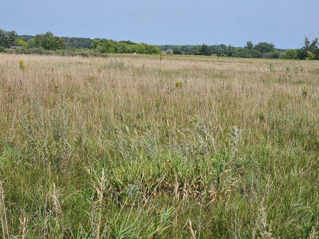 Property Photo:  Xxxx, Lot 2 Co Rd 38 NE  MN 56319 