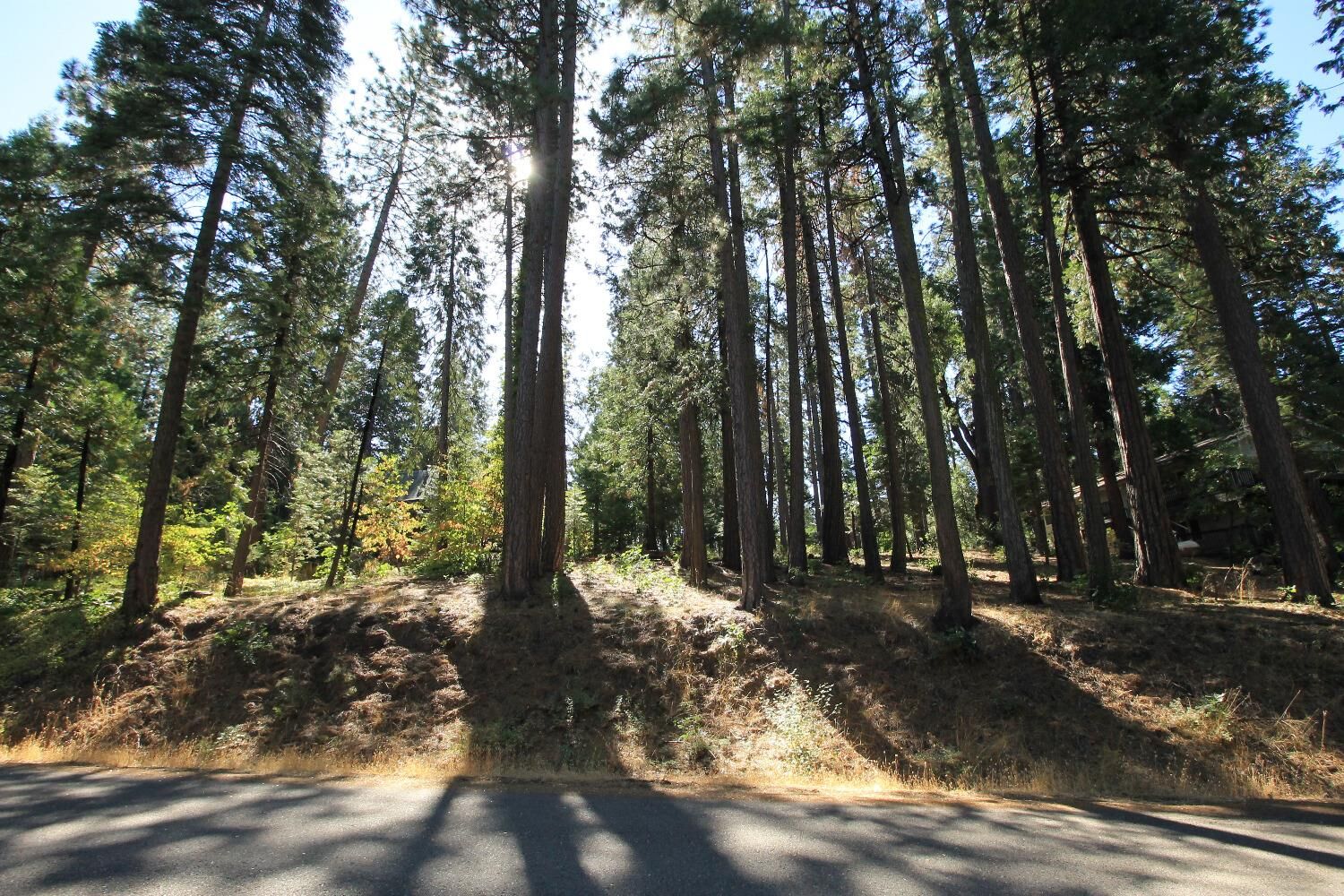 Property Photo: 3029 Pine Lake Drive CA 95223
