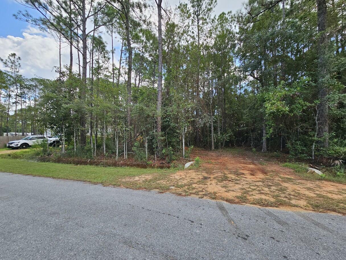 Property Photo:  Xs Nikki Circle  FL 32459 