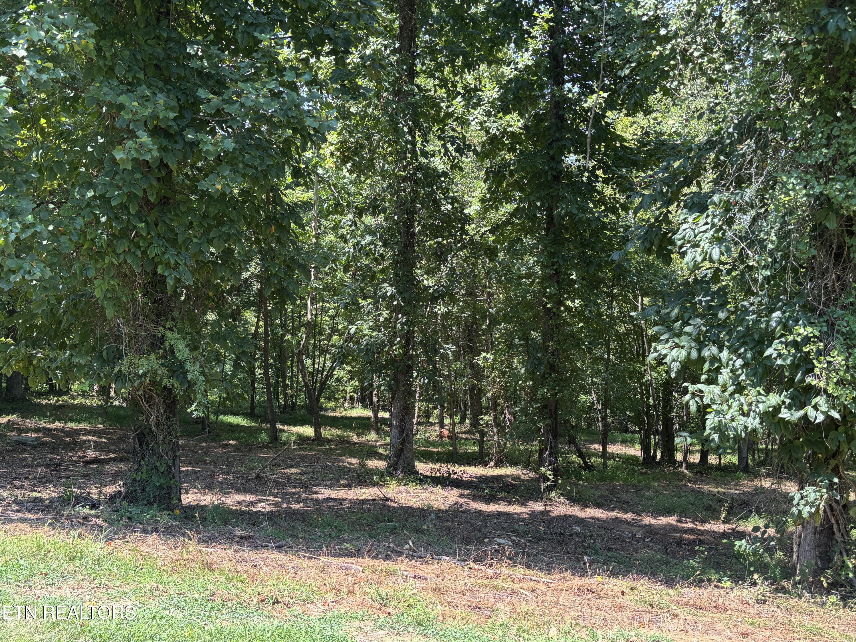 Property Photo:  371 Walking Horse Tr  TN 37854 
