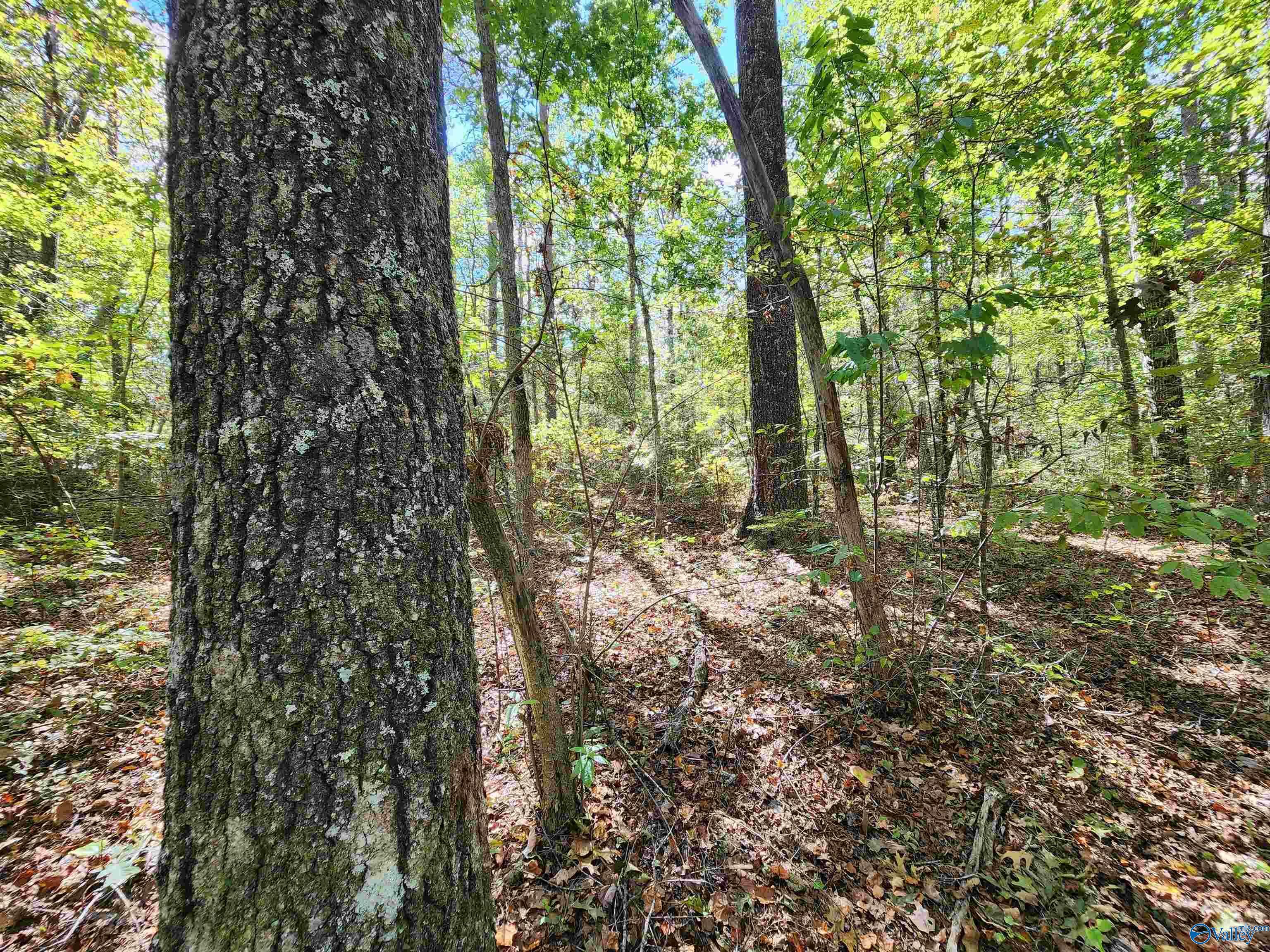 Property Photo:  Lot 17 Hunters Ridge Phase Iii  AL 35984 