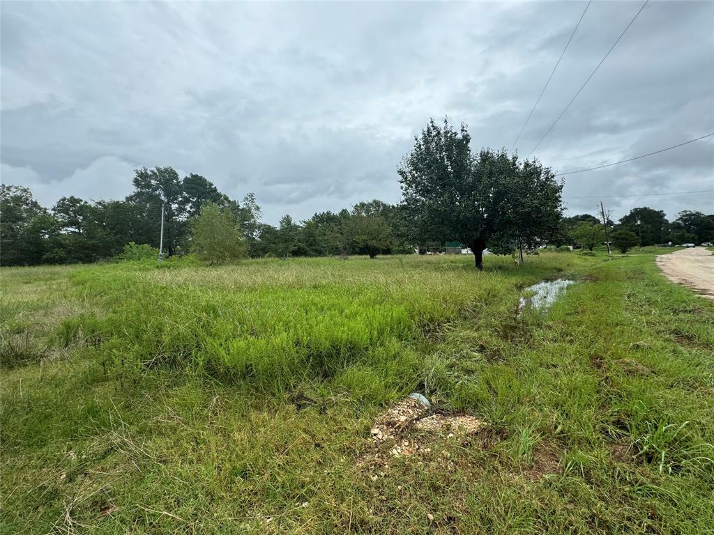 Property Photo:  145 Garden Villas Drive  TX 77360 