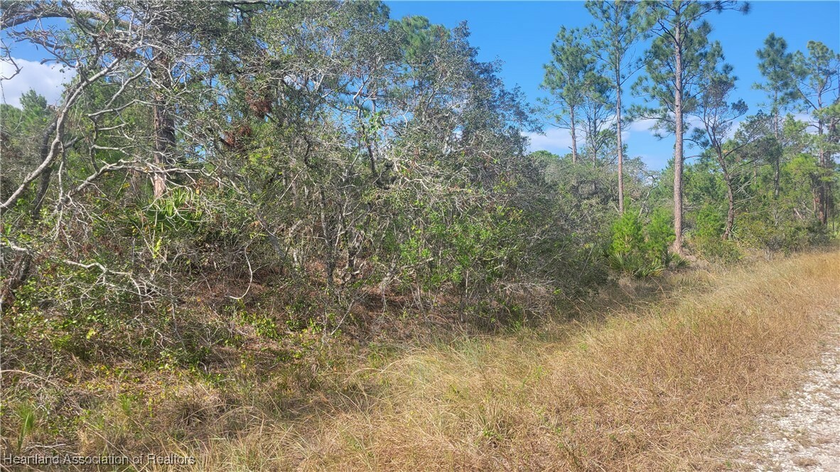 Property Photo:  3217 Savannah Sparrow Avenue  FL 33852 